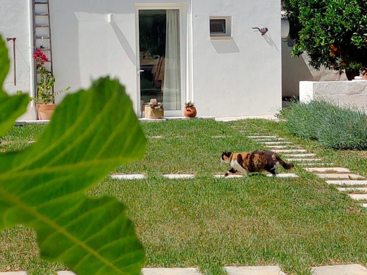 Corte Mercurio B&B Ugento Exterior photo