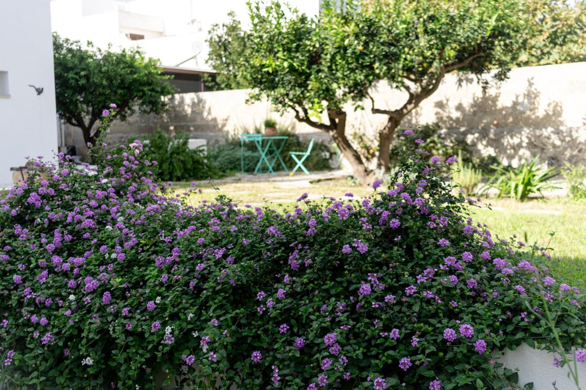 Corte Mercurio B&B Ugento Exterior photo